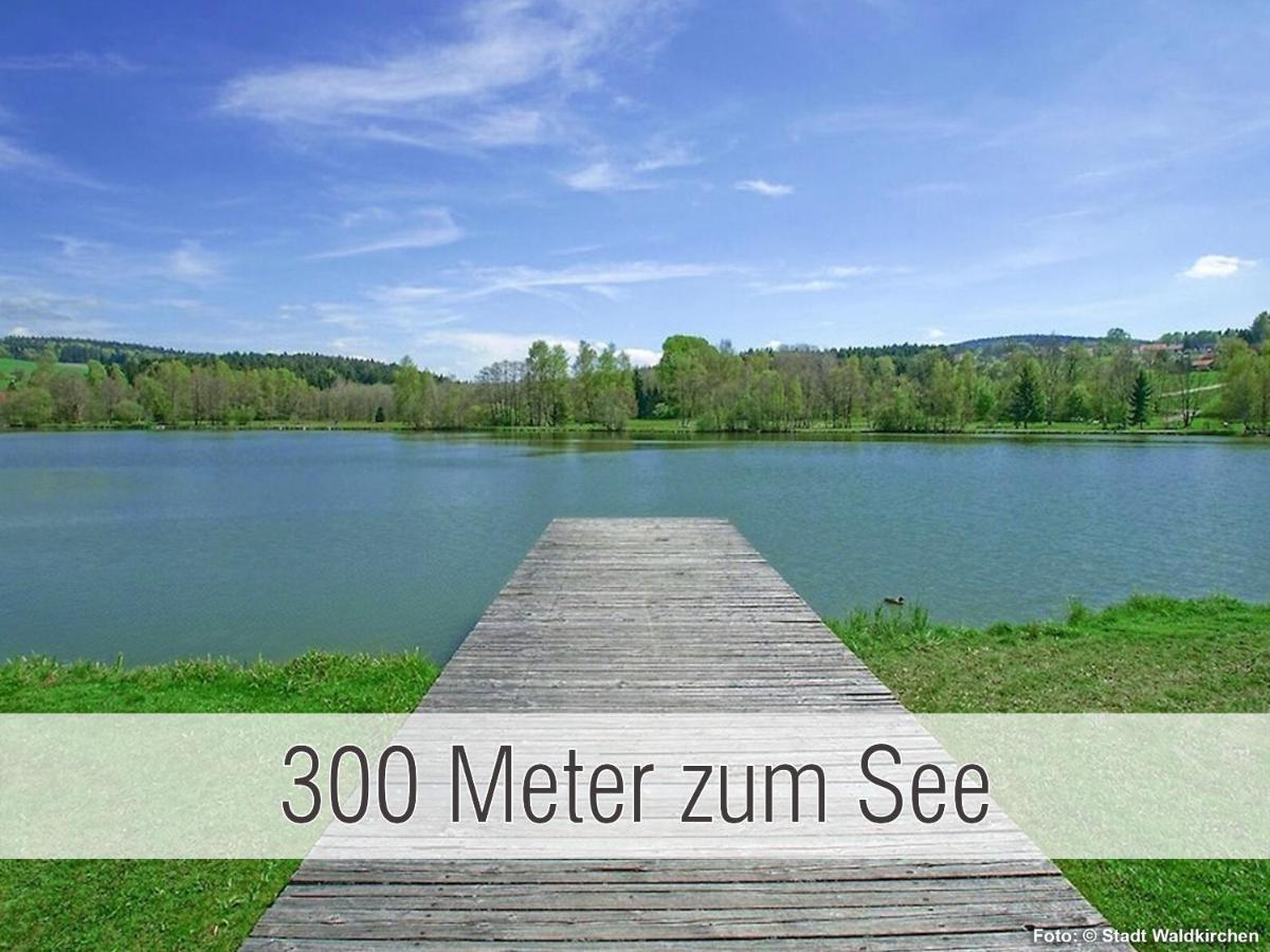 Huette41: Ganze Huette Nah Am See Mit Privatem Whirlpool, Sauna. Umzaeunt. Waldkirchen Exteriör bild