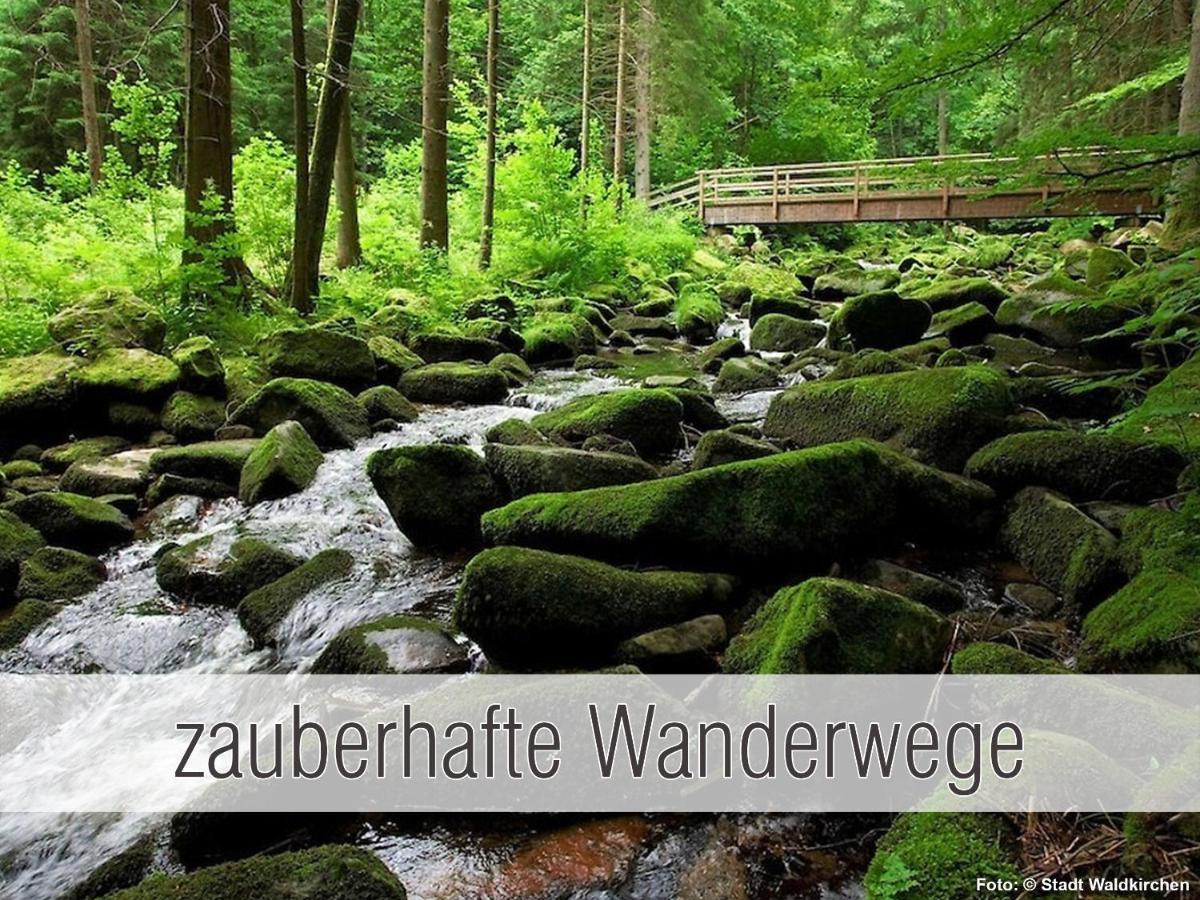 Huette41: Ganze Huette Nah Am See Mit Privatem Whirlpool, Sauna. Umzaeunt. Waldkirchen Exteriör bild