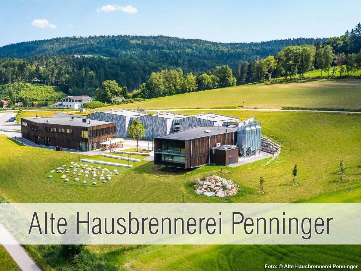 Huette41: Ganze Huette Nah Am See Mit Privatem Whirlpool, Sauna. Umzaeunt. Waldkirchen Exteriör bild